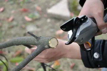 Professional  Electric shear