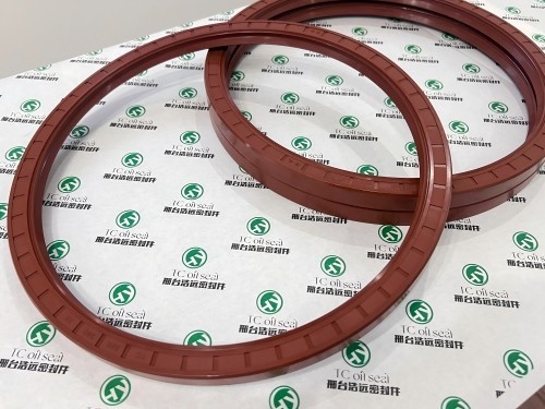 Durable 1 Fluoro Rubber Oil Seal