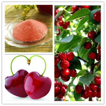 Acerola Cherry Powder