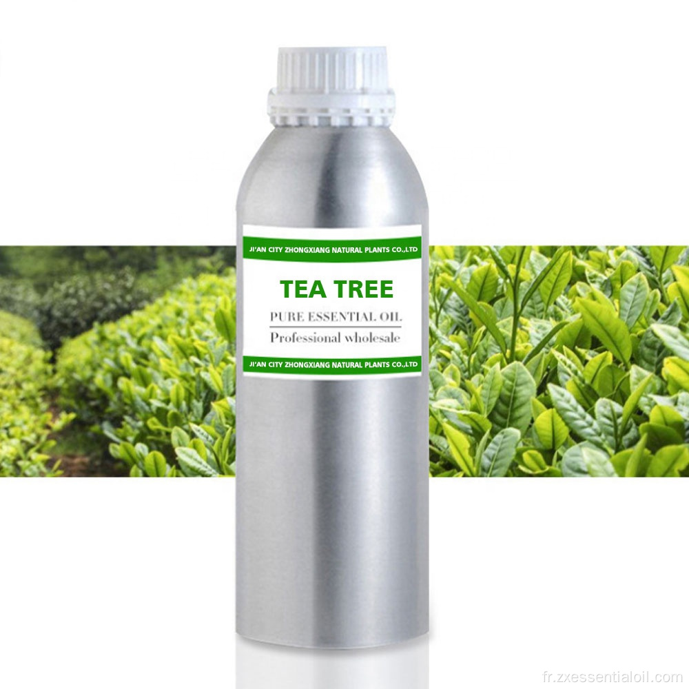 Huile essentielle d&#39;arbre à thé 100% pure de marque privée en vrac