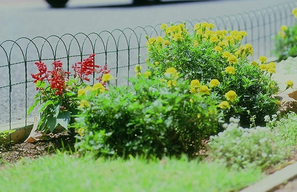 Powder Coated Garden Border Fence