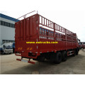 Dongfeng 20 ton akwatin kaya