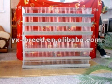 Multi battery broiler cage