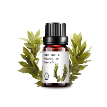 10 ml de etiqueta privada a granel al por mayor Laurel Oil Bay Leaf Oil