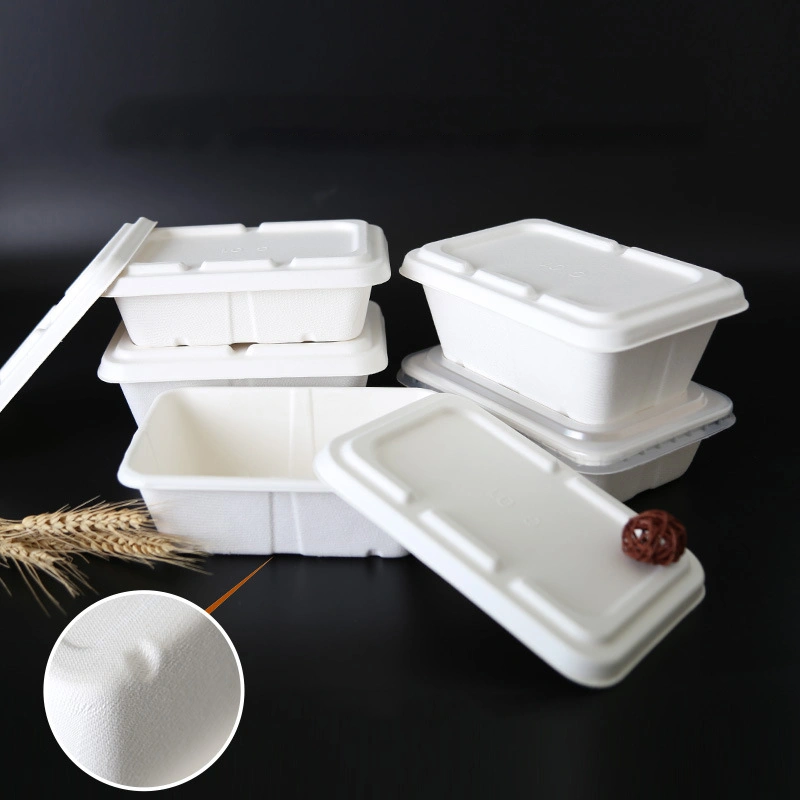 Disposable Biodegradable Tableware Bagasse Sugarcane Plates Food Packaging