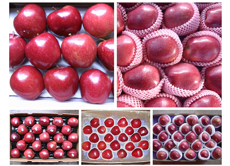 China Fresh red delicious fruit huaniu apple