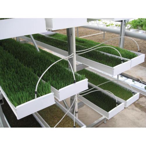 Hydroponisches Futter ProFeed Growing System