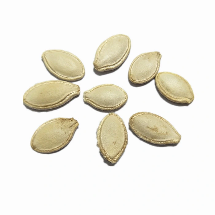 Walnut Flavored Sunflower Seeds