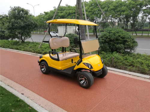 Carrinho de golfe 2 lugares 300CC movido a gás