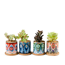 Ceramic Small Succulent Pots with Colorful Geometric Patterns