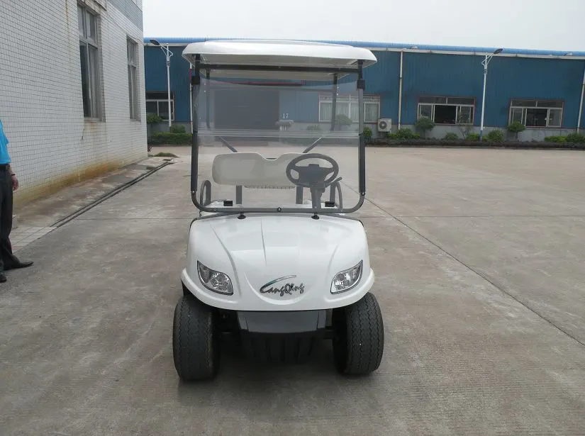 Convenient Passenger Car Mini Car 2 Seater