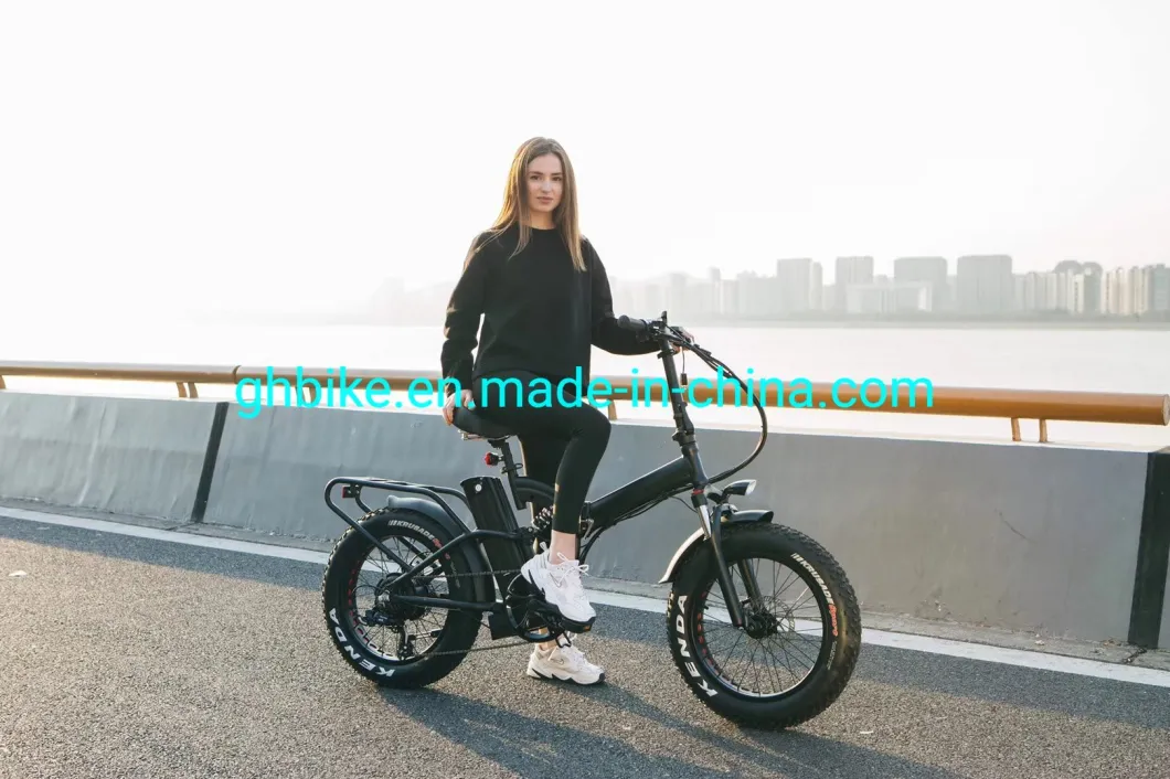 Mag Integrated Wheels 20 Inch Fat Tire Foldable Suspension Electric Bike