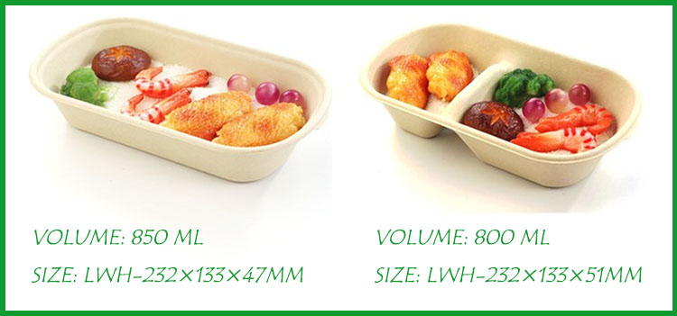 Best selling biodegradable reusable bamboo plates lunch box