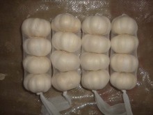 Pure White Garlic 4 pieces bag different sizes