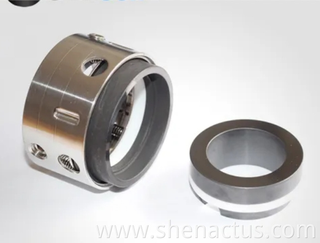 Special Mechanical Seals Special Mechanical Seals