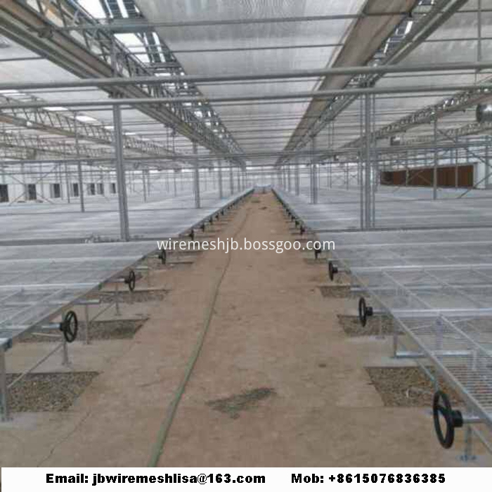 Galvanized Welded Wire Mesh Greenhouse Rolling Benches