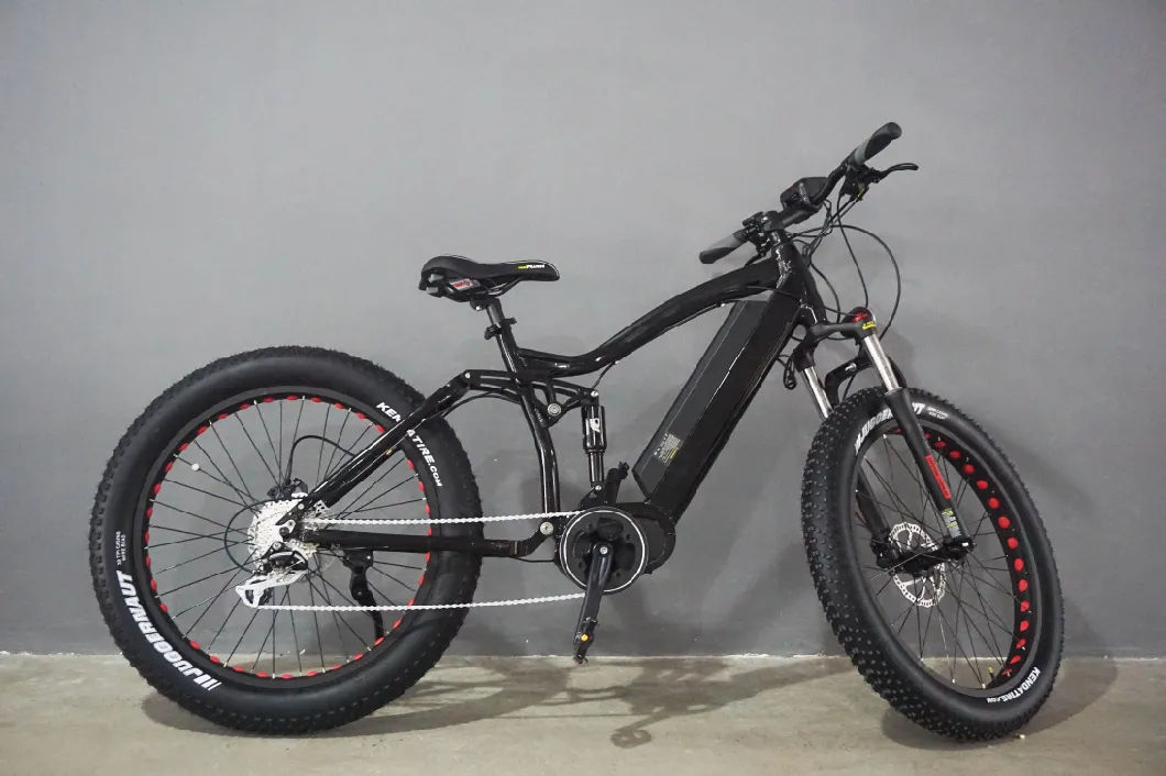 1000W Powerful Mountain Electric Bike with Full Suspension