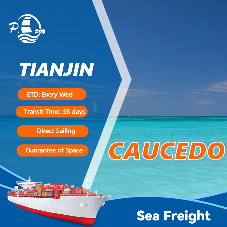 Sea Freight from Tianjin to Caucedo