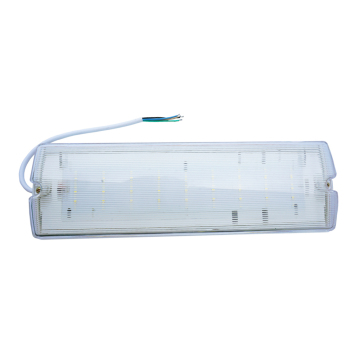 8W LED Light With Emergency Backup