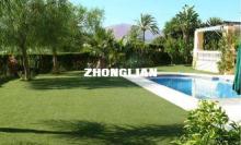 11000Dtex 20mm Monofilament Garden Artificial Grass Decorat