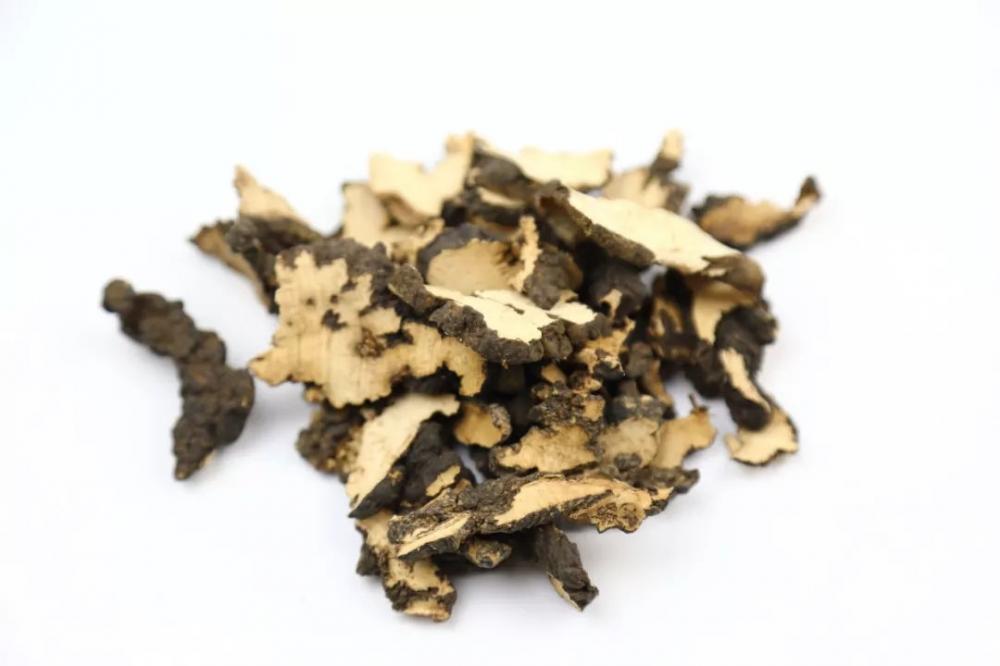 Polyporus umbellatus extract