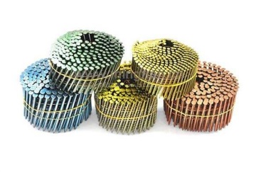 Galvanized Type Coil Nails