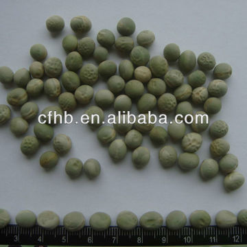 Whole Dry Green Peas