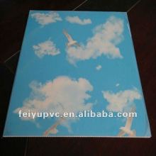 china pvc panel board