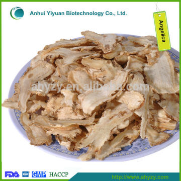 angelica sinensis root