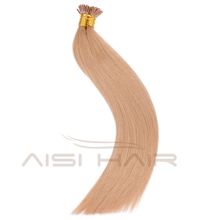 Aisi Hair 10A Unprocessed Color 12# Human Hair Pre Bonded Keratin Double Drawn I Tip Human Hair Extension For Women