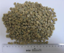 good quality Brazil Coffee Beans