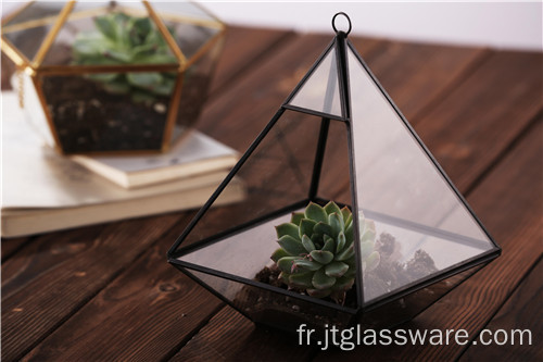 Terrarium de plante en verre suspendu de grande forme géométrique