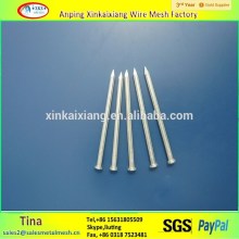 Galvanized china iron nails , common china iron nails , pure china iron nails