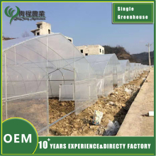 Round Steel Pipe Single Span Greenhouse