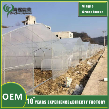 Round Steel Pipe Single Span Greenhouse