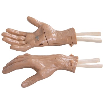 DARHMMY High Quality Wrist Arthroscopy Model for Medical Science