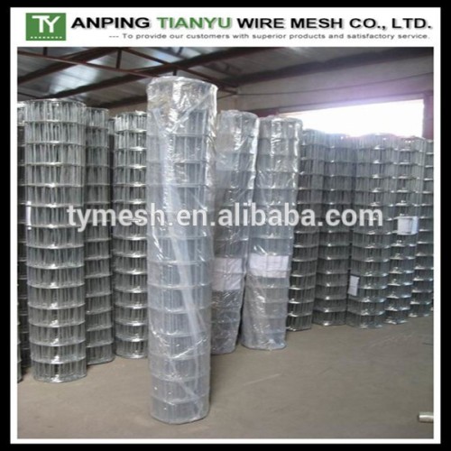 galvanized wire mesh