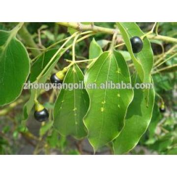 Wholesale Bulk Pure Natural Camphor