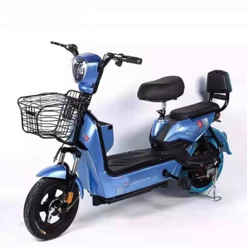 Low Price Electric Cycle with 1000 Watts, Fat Tires, and Powerful Hub Motor