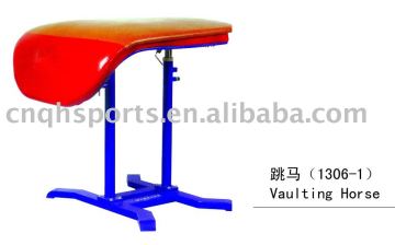 Vaulting Horse