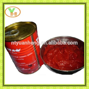 wholesale tomato paste, pomo tomato paste, turkish tomato paste, iran tomato paste