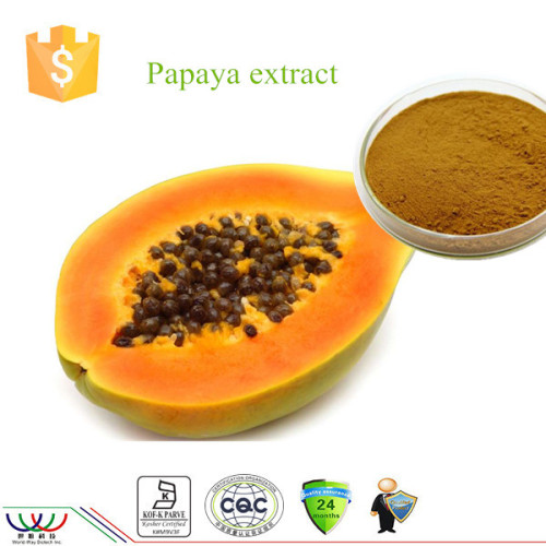 High quality free sample 5:1 10:1 20:1 papaya extract , test by TLC