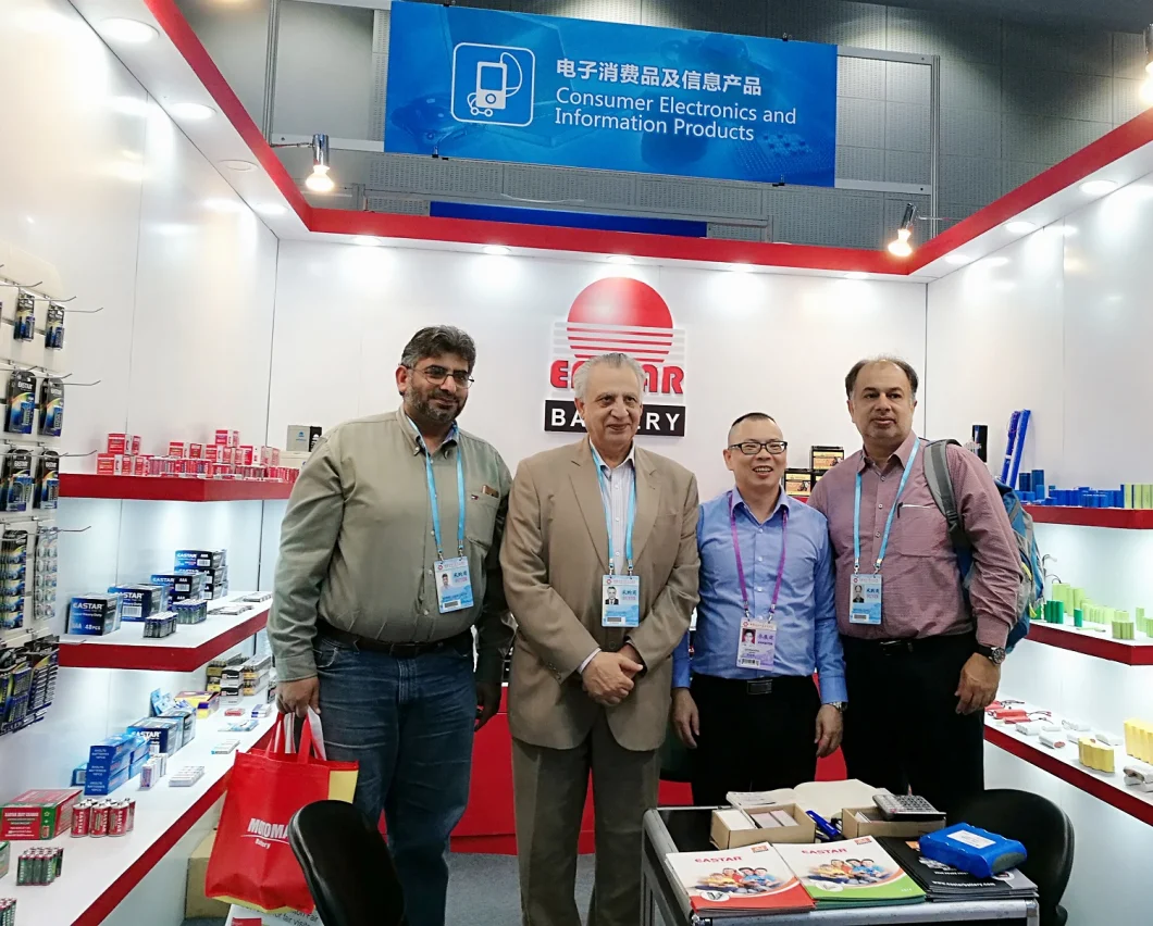 12V 12ah Lithium Battery 12V 12ah Lithium Battery