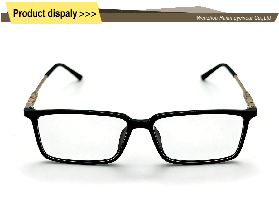 Óculos elegantes de metal TR90 Stylish TR90 Metal Eyeglasses