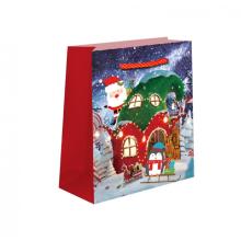 DAILY GIFT BAG 220-0