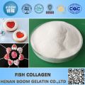 collagen powder in sachet