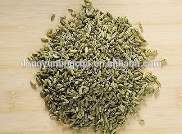 Fennel Extract