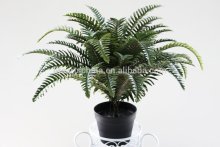 potted artificial fern, fern bonsai, fern bush