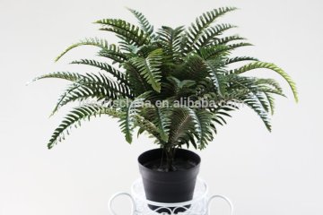 potted artificial fern, fern bonsai, fern bush