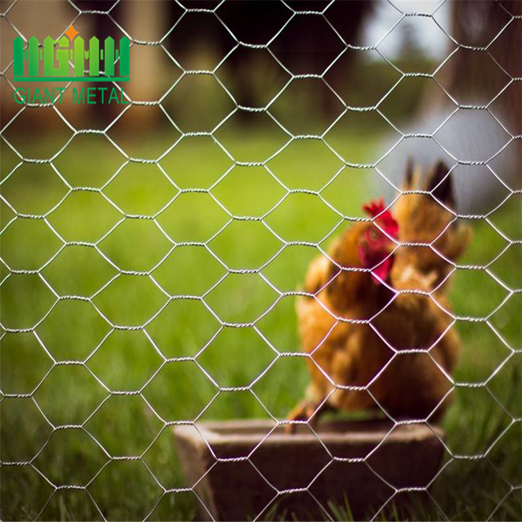 chicken wire mesh fence of PVC coated